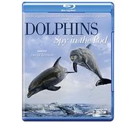 Dolphins Spy in the Pod [Blu-ray]