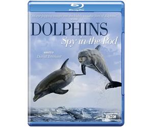 Dolphins - Spy In The Pod (Blu-Ray)