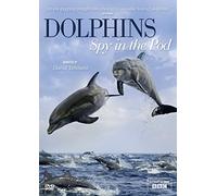 Dolphins: Spy In The Pod [DVD]