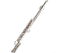 Dolvitrny Non Playable Flute- Replica Silver Plated Brass Model