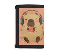 Dolyues Apple Capybara Kids Wallet for Girls Cute Credit Card Holder Cash Pocket Travel Purse Youth Trifold Outdoor Sports Wallet