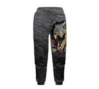 Dolyues T-Rex Dinosaur Sweatpants for Girl Boy Cartoon Animal Print Active Pants Kids Soft Comfy Long Sportswear for Age 4-15
