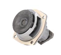 DOLZ A223 Water pump
