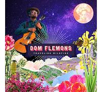 Dom Flemons - Traveling Wildfire