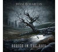 Dom Martin : Buried in the Hail VINYL 12" Album (2023) NEW Amazing Value