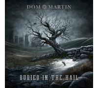 Dom Martin Buried in the Hail (Vinyl) 12" Album (US IMPORT)