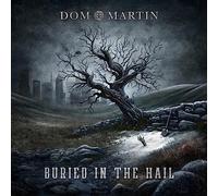 Dom Martin - Buried In The Hail [VINYL]