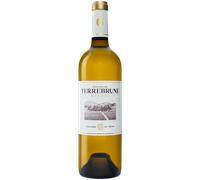 Domaine de Terrebrune Blanc 2023