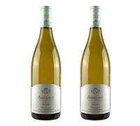 Domaine Sylvain Bailly Sancerre Sauvignon Blanc 75cl x 2 Bottles | 13% ABV
