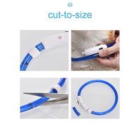 Domary LED Dog Collar USB Rechargeable Light-Up Pet Necklace for Safety in 3 Glowing Modes M: 35cm (Blue)