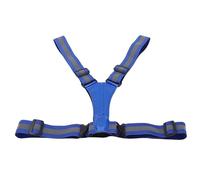 Domary LED Reflective Vest High Visibility USB Rechargeable Light Up Running Gear for Walking Cycling Safety Polyester Material with 2 X 300mAh Li Ion Batteries (Blue)