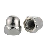 Dome Cap Nuts,304 Stainless Steel Nylon Brass Acorn Nut Hex Head Cap Metric Dome Cap Nuts Black White Nickel Plated Steel M3M4M5M6M8M10M12~M36(304 Stainless Steel-M22 (1Pcs))