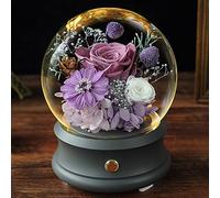 Dome Led Light,Forever Fresh Rose Music Box in Glass Dome, Preserved Fresh Rose with Led Lamp String, Night Lights Romantic for Mom/Wife/Women on Anniversary Wedding,Yellow (Purple) (Color : Purple)