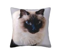Domestic Fur Animal Cat Bali,Double Sided Printing, Hidden Zip Pillowcase, Pillow Cover Decorative Throw Pillowcase Soft Polyester Cushion Covers 50x50cm