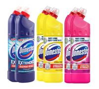 Domestos Bleach Mix Bundle 6 Pack