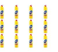 Domestos Citrus Bleach 750Ml (P) (Pack Of 12)