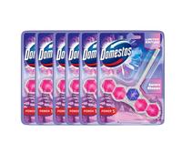 Domestos Power 5 Rim Block Aurora Blooms Winter Edition Toilet Freshener & Limescale Prevention Long-Lasting Hygiene & Fragrance Assorted Packs (Pack of 6)