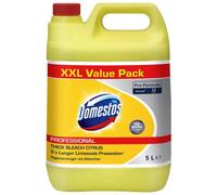 Domestos Professional Bleach Citrus Fresh 5L