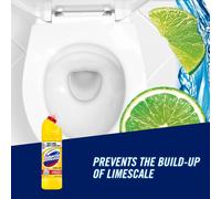 Domestos Thick Bleach Citrus Fresh MultiPurpose Disinfectant AntiBacte