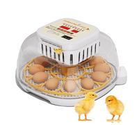 Domigard Egg Incubators for Hatching egg, Incubator for 12-24 Eggs Automatic Turning with Humidity &Temperature Control, Home Incubator for Quail Chicken Duck Pigeon
