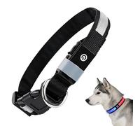 Domigard Light Up Dog Collar - IPX7 Waterproof Nylon with Red Blue Lights