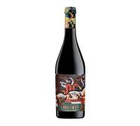 Domini Veneti Marco Polo Appassimento Rosso 2024 75cl