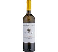 Domini Veneti Soave Classico DOC 2023/24