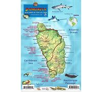 Dominica Dive Map & Coral Reef Creatures Guide Franko Maps Laminated Fish Card