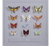 DOMINIK EULBERG - LEPIDOPTERA