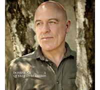 Dominique A - Quelques lumières [Vinyl LP] [VINYL]