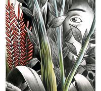 Dominique a - Vers Les Lueurs-Digi/Ltd-