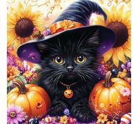 DOMROM Black Cat Diamond Painting Kits for Adults, Pumpkin Diamond Art Kits for Beginners, Halloween DIY 5D Full Round Drill Gem Crystal Rhinestone Art and Craft for Gift Home Wall Decor 30x30cm