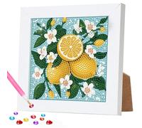 DOMROM Diamond Art Kits for Kids, Lemon Diamond Painting Kits with Frame DIY Flowers Mosaic Gem Kit for Kids Ages 6-8-12, Art and Crafts for Girls Boys Adults