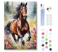 DOMROM Paint by Numbers Kit for Adults Beginner with Wooden Frame, Horse Acrylic Paint by Number, DIY Oil Painting Kit with Framed Canvas Arts and Crafts for Gift Home Wall Decor 20X30cm