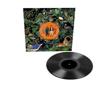 Don Broco - Amazing Things (Black) [VINYL]