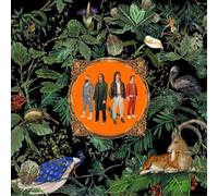 Don Broco - Amazing Things (Black) [VINYL]