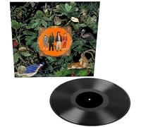 Don Broco Amazing Things Vinyl LP 2022 NEW