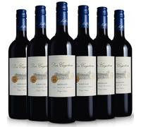 Don Cayetano Red Wine (6 Bottles) Chile, Merlot, Medium Bodied, 11% ABV | Chile, Merlot Grape, Medium Bodied, 11% ABV