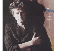 Don Henley – Building the Perfect Beast – CD