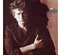 Don Henley - Building the Perfect Beast