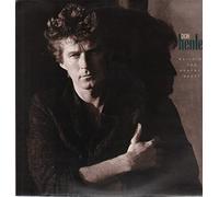 DON HENLEY - building the perfect beast LP [VINYL]