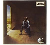 Don Mclean - Homeless Brother by Don Mclean (1996-01-01)