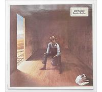 DON McLEAN - HOMELESS BROTHER (LP) [VINYL]