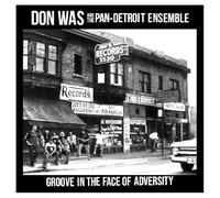 DON WAS - Groove In The Face Of Adversity [VINYL]