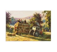 Donal McNaughtons Work Artist Prints Making Hay While The Sun Shines Canvas Poster Wall Art Decor Print Picture Paintings for Living Room Bedroom Decoration Unframe-style 20x30inch(50x75cm)