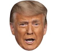 Donald Trump (Eyebrow) Big Head. Larger than life mask.