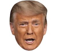Donald Trump (Eyebrow) Celebrity Mask, Flat Card Face, Fancy Dress Mask