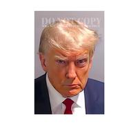 Donald Trump Mugshot Photograph 11 X 16 - Magnificent 2023 Mug Shot Portrait - Historical Picture - Atlanta, Georgia Arrest - Indicted - USA - 45th President - America - Rare Photo - Poster Art Print