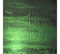 Donato Dozzy - K [VINYL]