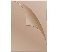 DONAU 1785095-12 Document Sleeves Type L DIN A4 / Pack of 100 / Colour: Orange/PP 120 µm/Side Open Transparent Grained/Transparent Sleeves